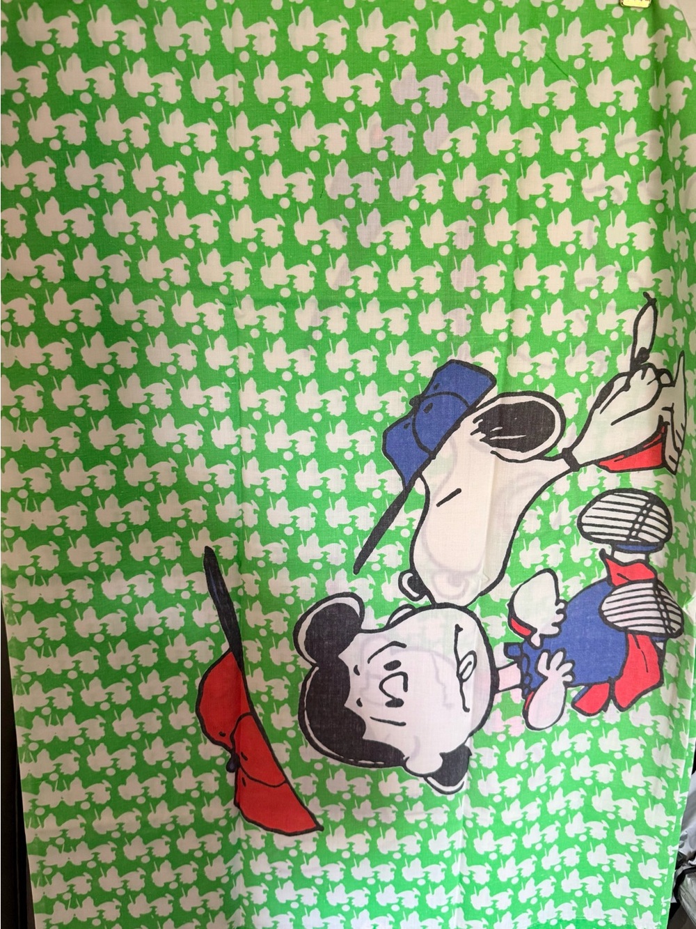 Green Snoopy, Lucy, & Charlie Brown Party Peanuts Character Design 2 Pillow Case